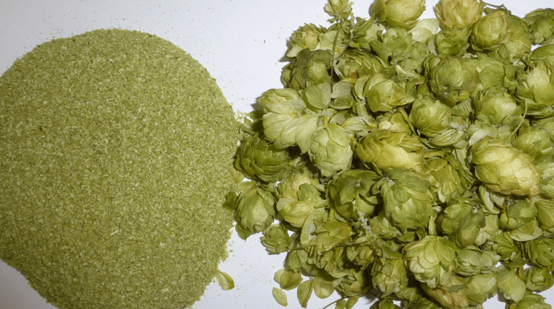 Hops cones for comminution 
